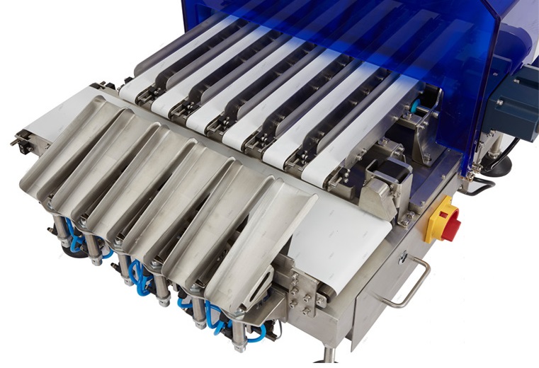 Slide Multi-Lane Weight Checking Machine,Multi-Channel Weighing Control Checkweigher