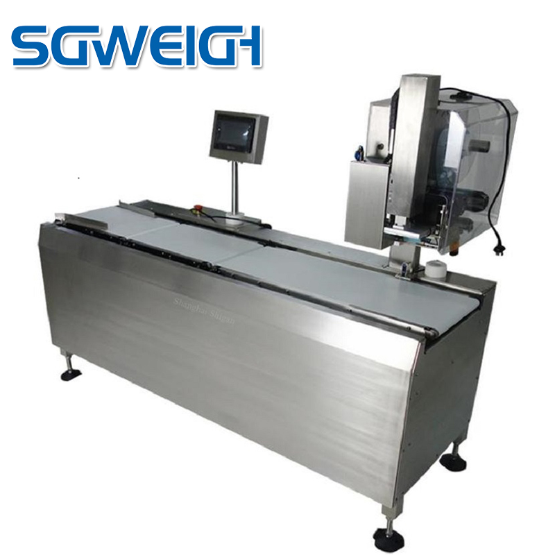 Automatic Weigh Price Labeler,Scale With Label Printer,Conveyor Box Weighing and Labeling Machine